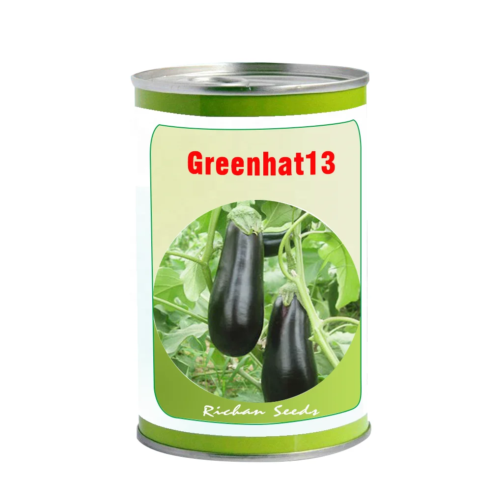 
F1 hybrid eggpant seeds with high germination purple fruit green hat vegetable seeds 