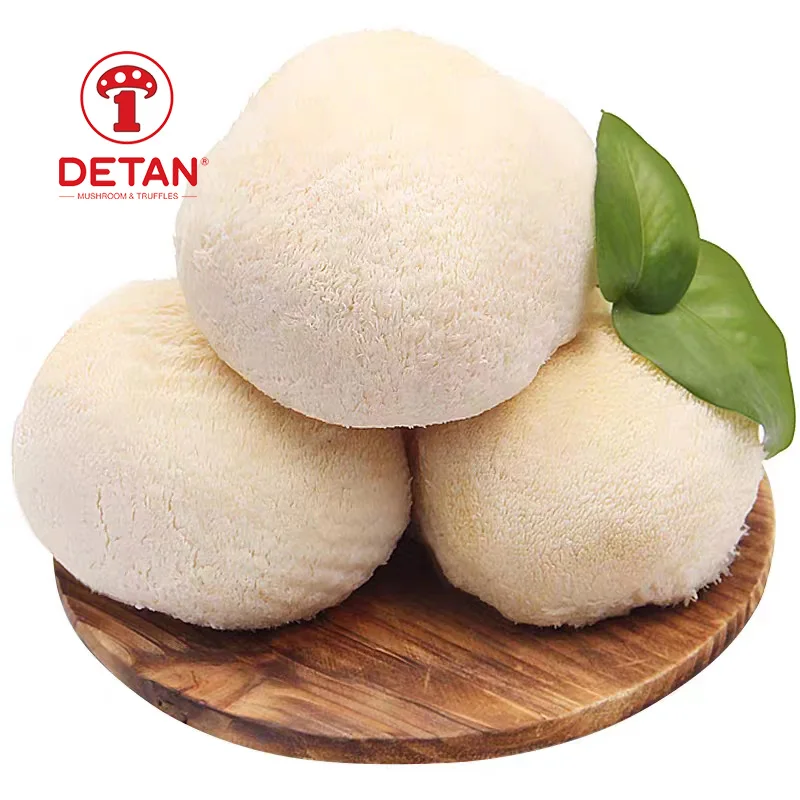 Pure natural artificially cultivated Dried Lions Mane & Monkey Head Mushroom