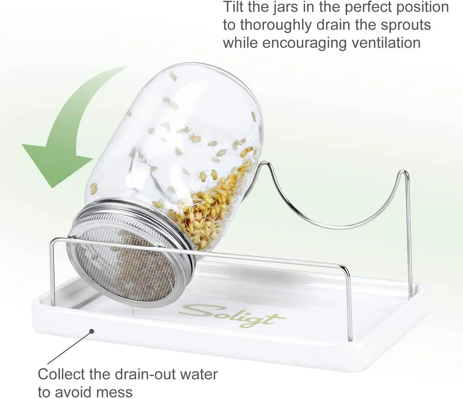 Complete Mason Jar Sprouting Kit - 2 Wide Mouth Quart Sprouting Jars with 316 Stainless Steel Sprouting Lids, Ceramic Drip Tray