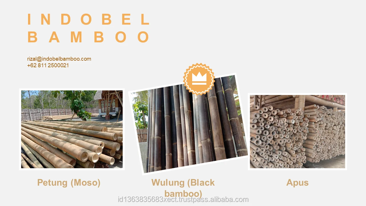 
Bamboo Poles Natural Straight for Construction 3m (Non Treated) 