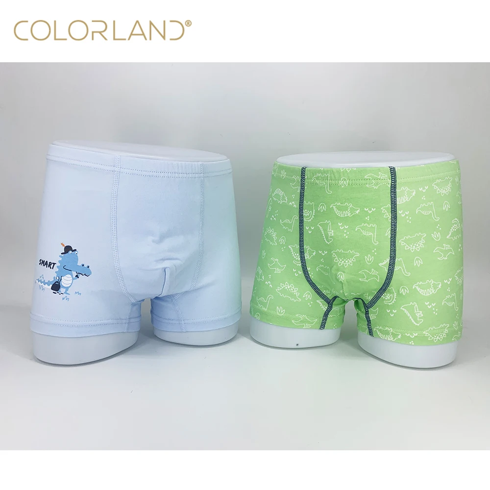 
Colorland Baby Short Pants Undies 2 Pieces Pack Cotton Boxer Briefs for Kids 