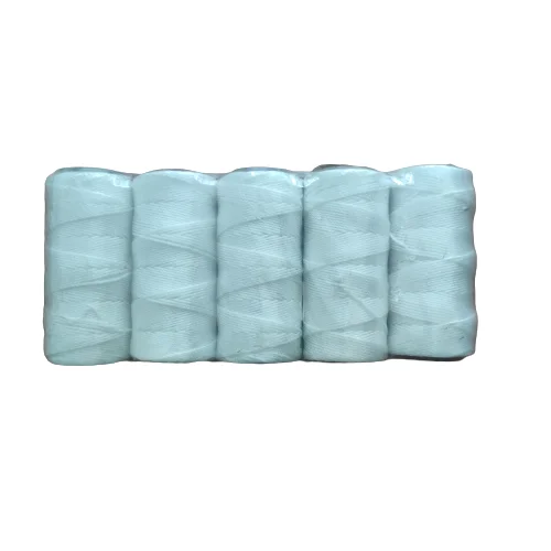 High Strength White Twisted PP & Nylon Twine for Packing