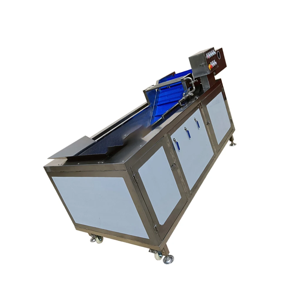 Stainless Steel Automatic Vegetable Washing Machine Bubble Ozone Fruit And Vegetable Cleaning Machine