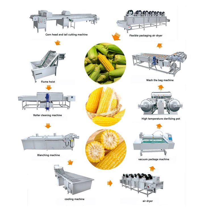 Waxy corn cooking cooling processing line corn kernels cooking machine large continuous cooking machine