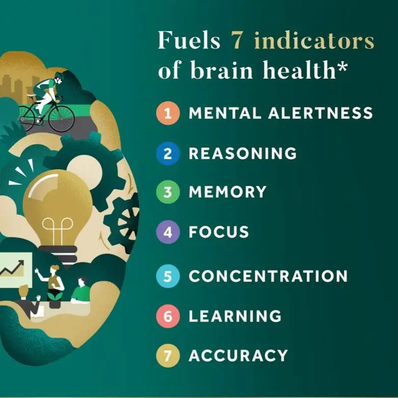 OEM Vitamins B6 & B12 Brain Health Supplement - 60 Capsules for Memory and Focus Enhancement
