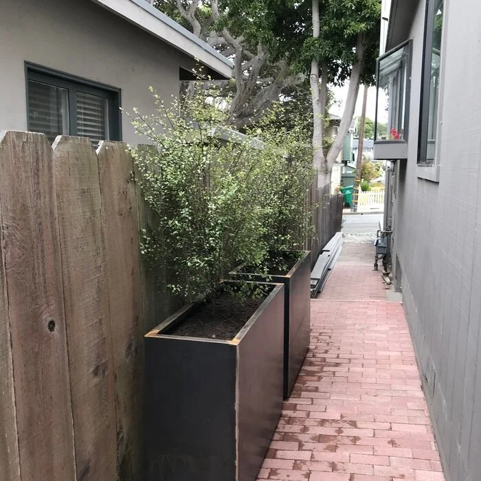 Металлическая серия Corten стальная коробка для растений и цветочный