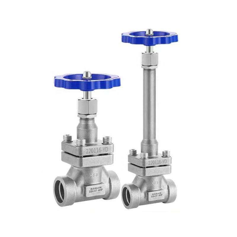 stainless steel socket weld dn50 LPG cryogenic flange check valve for gas vessel