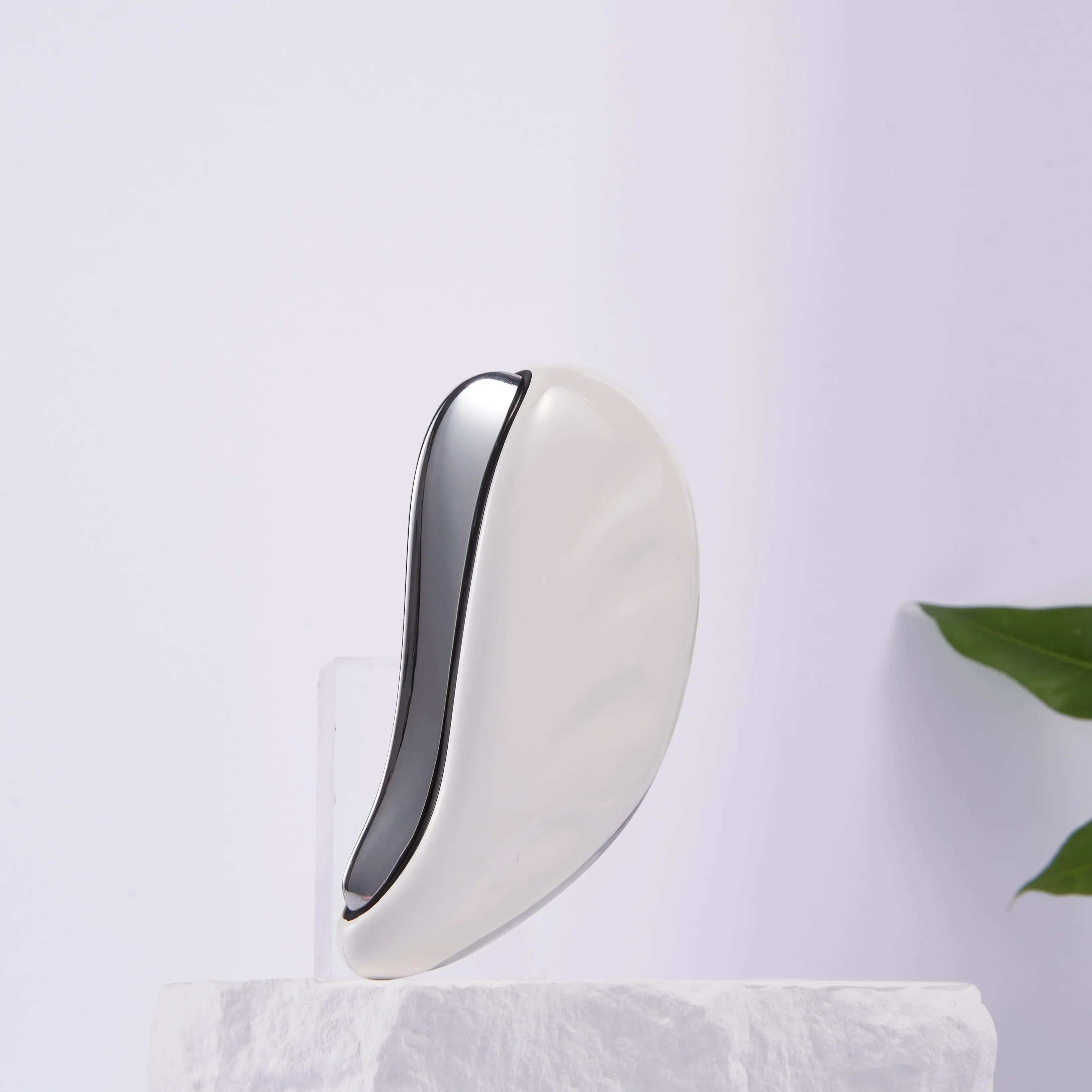 2024 Skin Galvanic Ion  Facial Spa Light Therapy Facial Massager Face Lifting Device