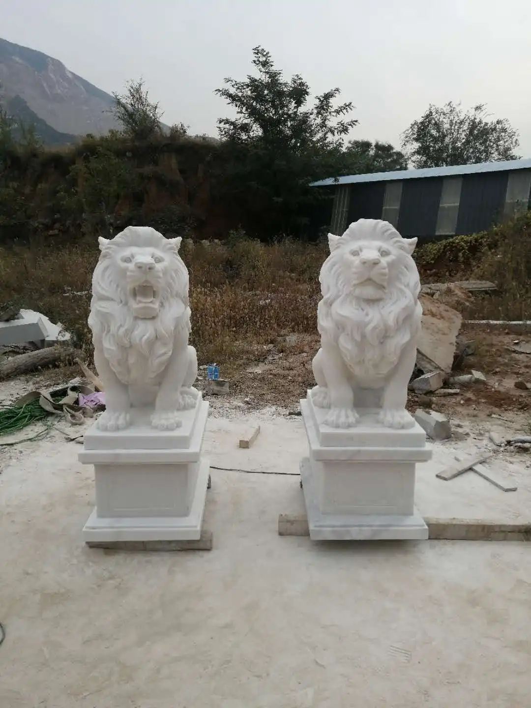 White Marble Lion Carving Animal Standing Lion Sculptures Garden Stone Statues