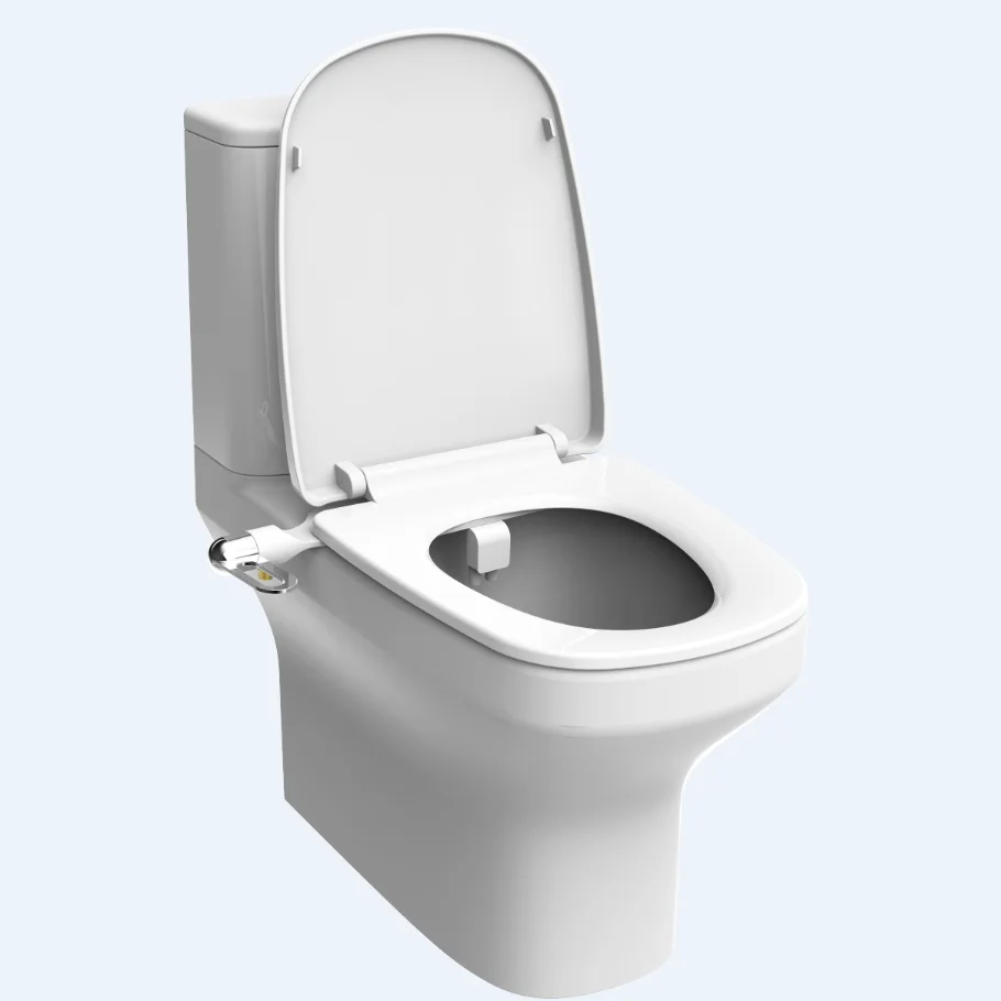 Simple dual nozzle bidet toilet