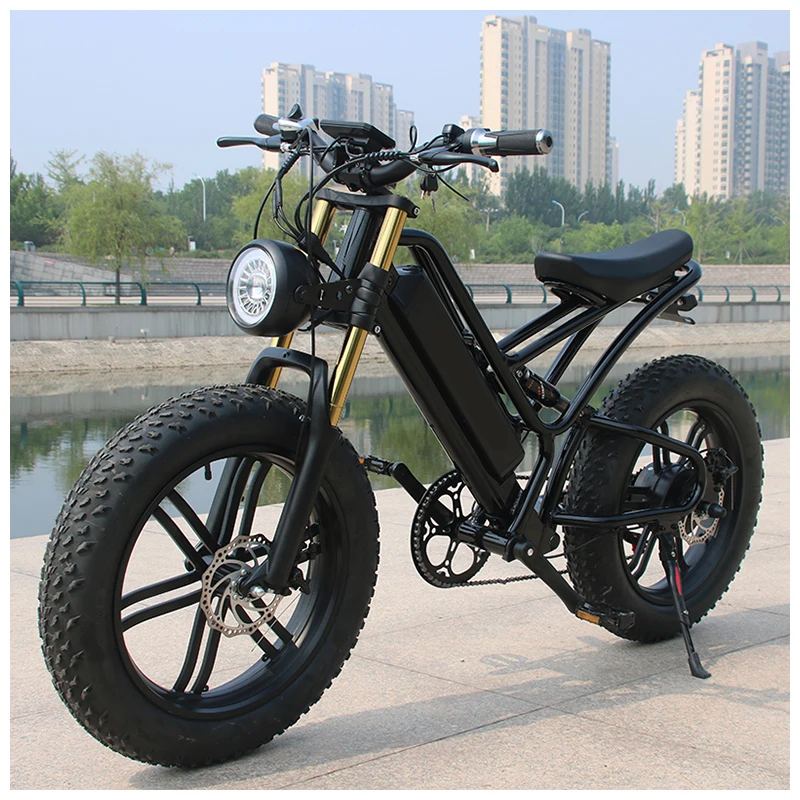 OEM 20 Inch 48V 750W Fat Tire Electric motorcycles Mountain dirt Bike Lithium Battery  hub motor  E-Bike Bicycle bike adult