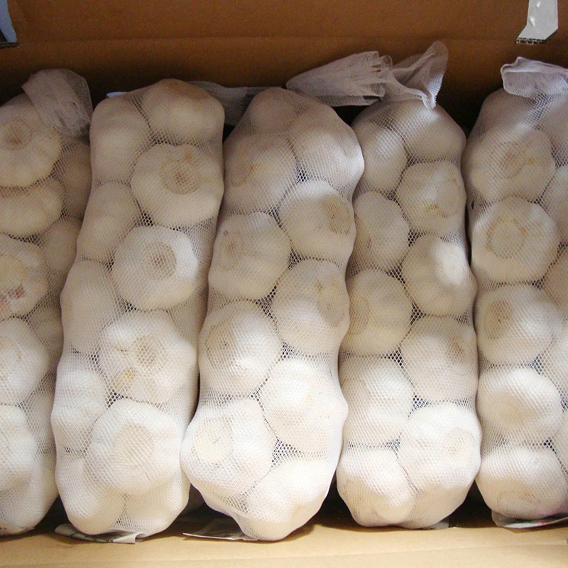 Factory price market selling wholesale garlic dried 3p mesh bag box 10kg pure white normal white fresh garlic export to india