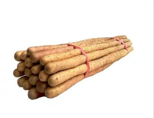 High Quality Nutritious Chinese Vegetables Fresh China  Yam for Sale