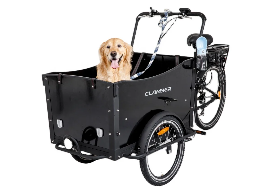 Electric Cargo Bike with Rear Carrier Battery 36v Three-Wheel Steel Frame for School Bus Use