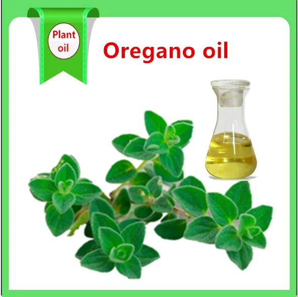 Manufacturer Wholesale Pure Organic Oregano Essential Oil Bulk Supply Wild Origanum Vulgare Extract Certified Quality from China