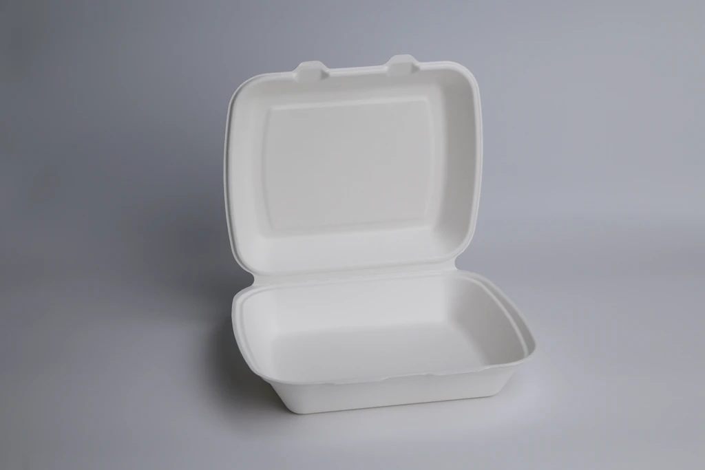 Restaurant catering wholesale disposable biodegradable Ecofriendly Box takeaway Lunchbox 9x7inch