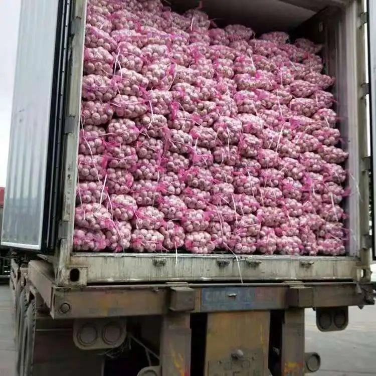 2022 new season Chinese fresh garlic ajo chino in cold storage of a garlic export pure white normal white garlic market price
