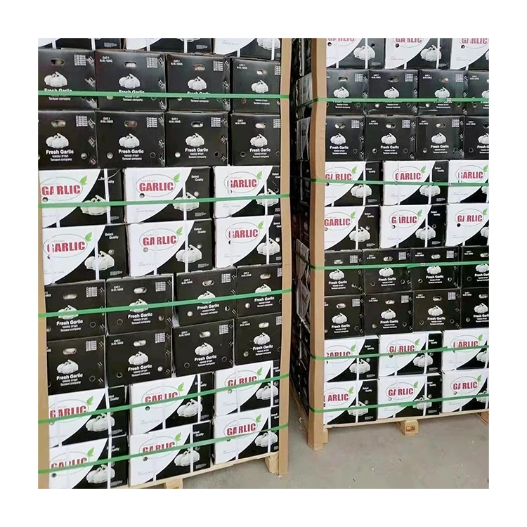 Чистый белый чеснок, свежий органический чеснок лучшего качества, 3p 4p 5p, небольшая упаковка, популярный натуральный белый чеснок для оптовой продажи, для bawang