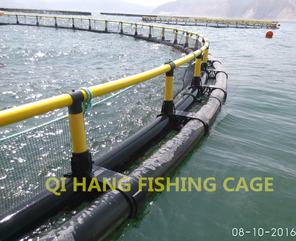 HDPE farm raised sea bass fish farming cage for pisciculture