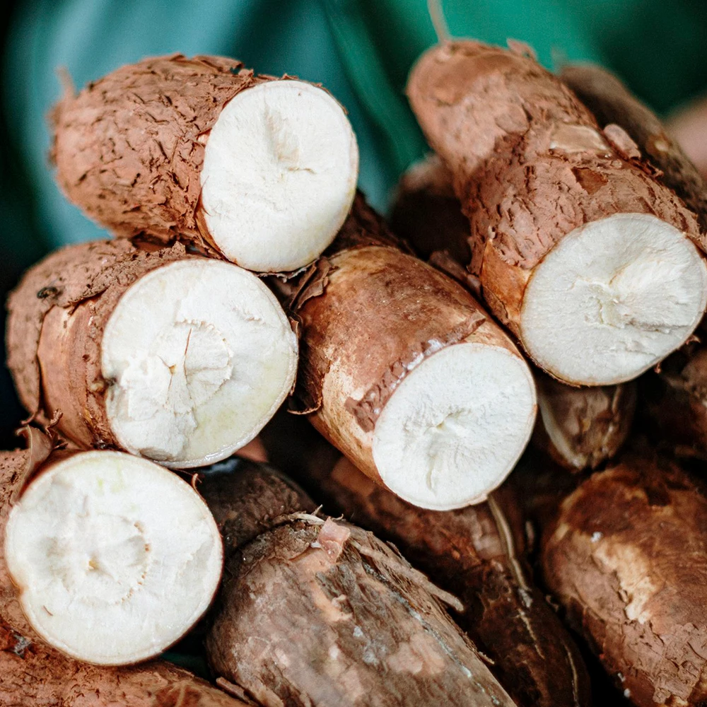 Raw dry Cassava from Vietnam with Competitive price and Fast delivery service/Wholesale dried Cassava