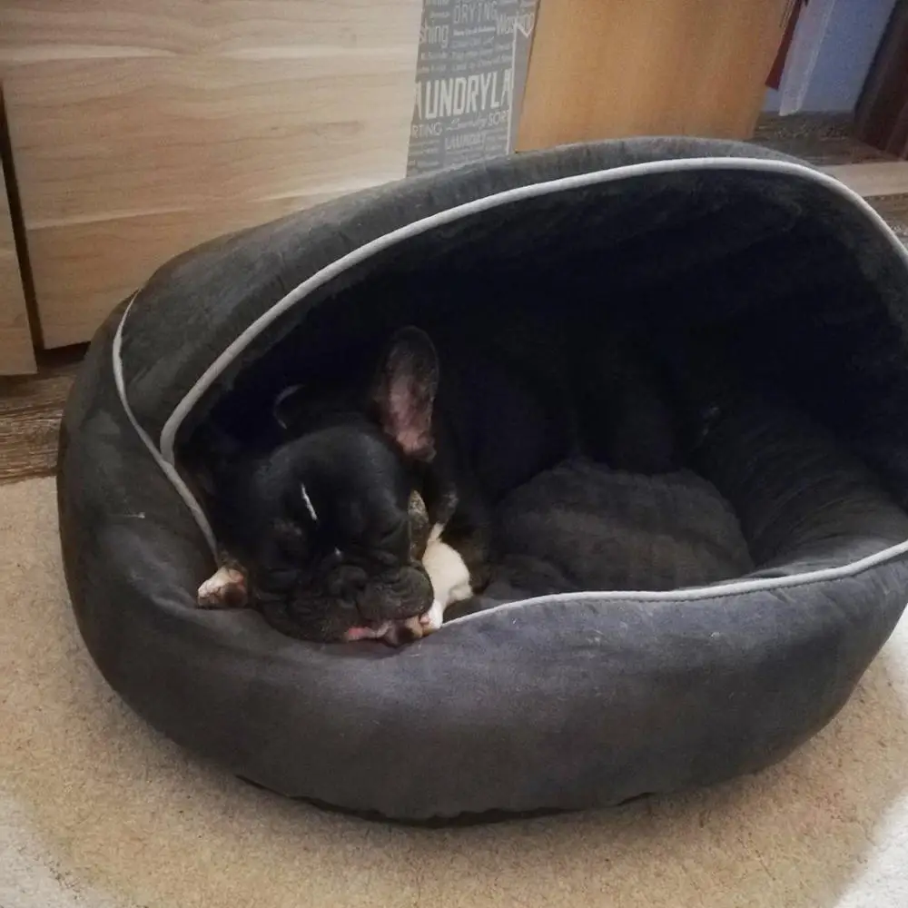 
Comfortable Pet Lounge Dog Cave Bed Soft Snuggle Sleeping Beds For Puppies Kittens 