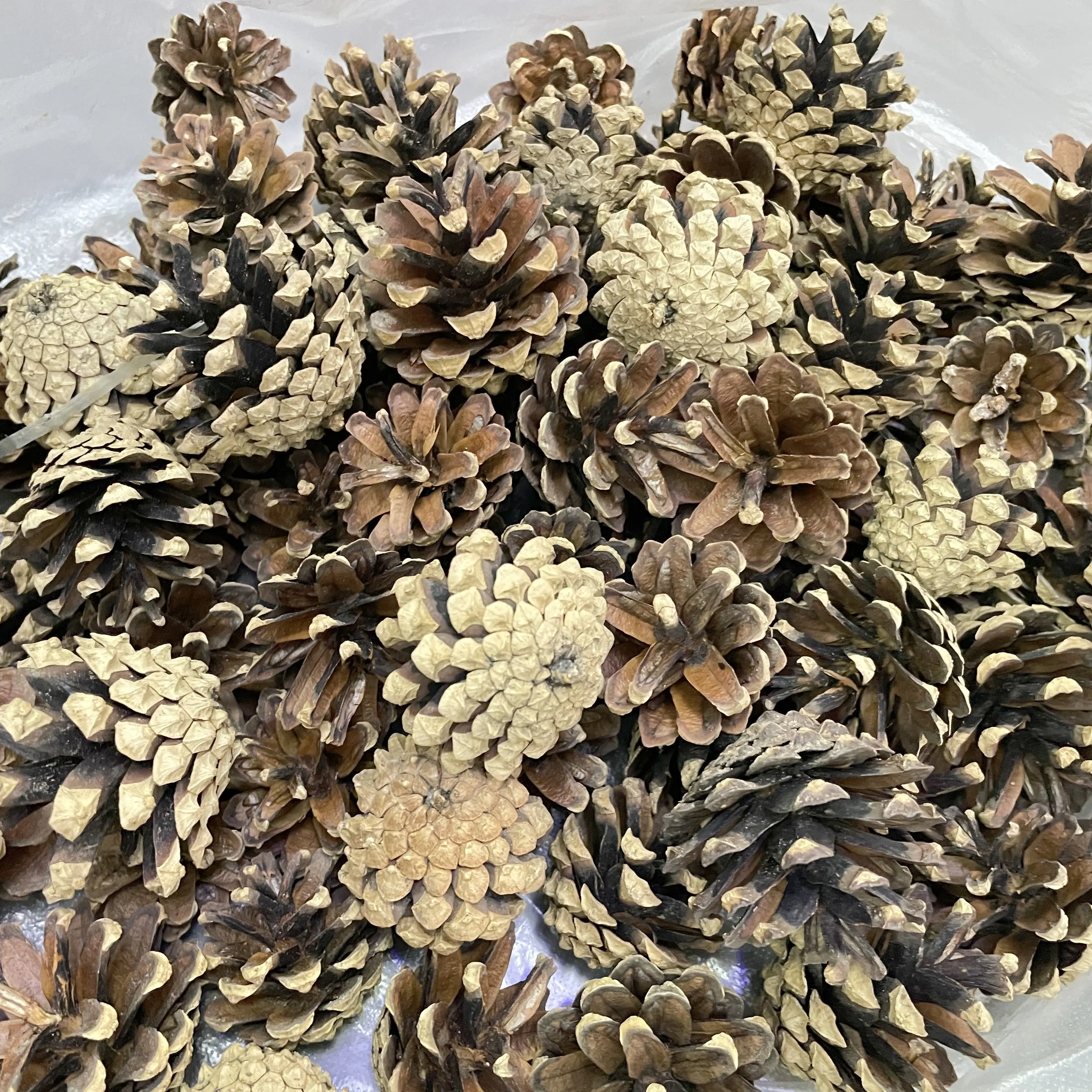 natural wood real pine cone christmas tree decoration hanging tree