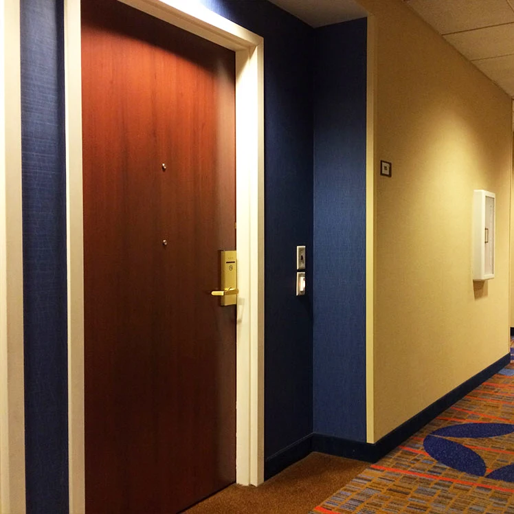 Проект отеля 20 мин/45 мин/60 мин/90 мин противопожарная дверь входной двери коридора распашная с противопожарным ядром