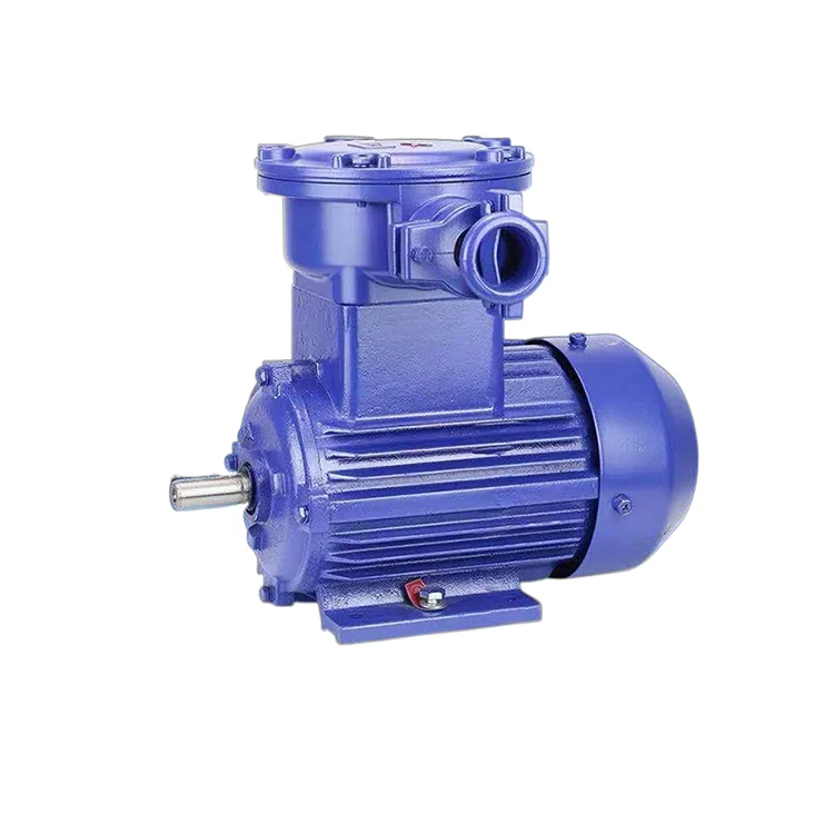 Yb3 Series Explosion-Proof Three Phase Induction Electric Motor