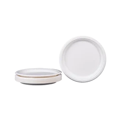 BIOSANO Custom Sugar Cane Fibers 10 Inches 3 Compartment Parties Wedding Special Events  Bagasse Food Container Round Trays