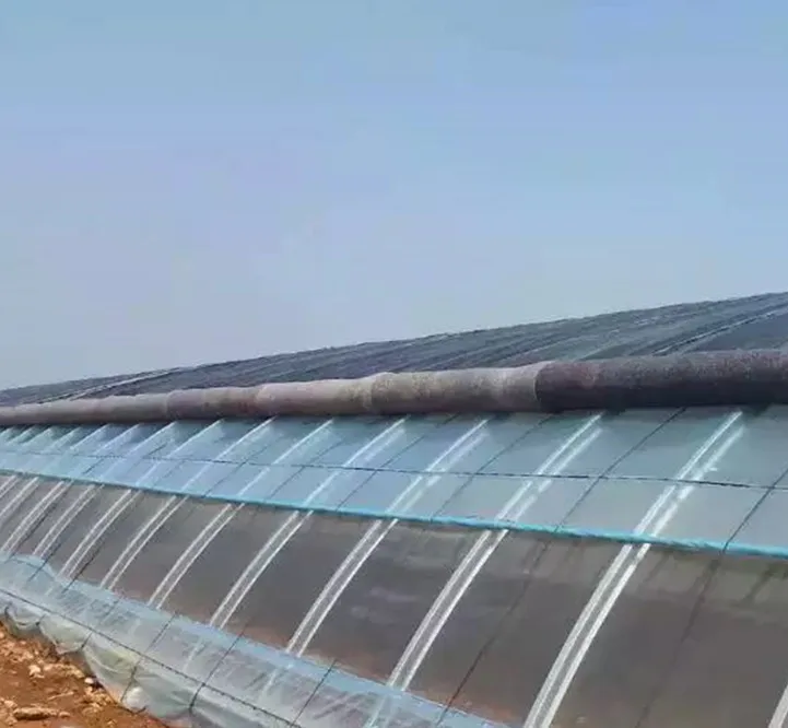 
China PO/PE/PP Film Covering Simple Solar Greenhouse for Planting Vegetables 