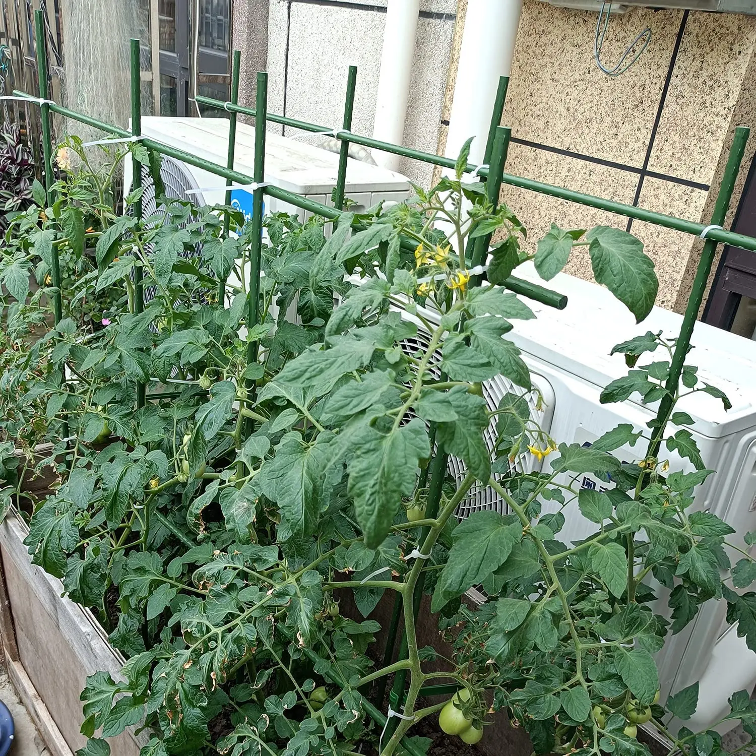 Plant Stakes Garden Tomato Sticks Supports For Potted Cucumber Strawberry Bean