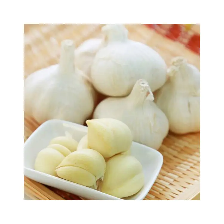 Wholesale Cheap Price Cheap Price Fresh Garlic Garlic