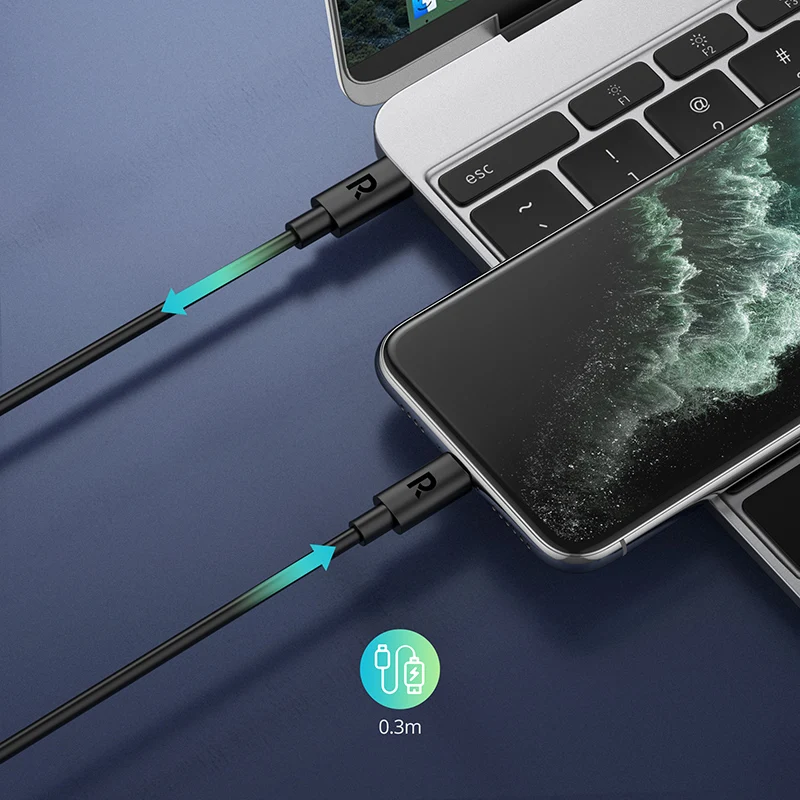 RAVPower Black+PE BAG RP-CB062 Data Cables 1m TPE Type-C to L Type C Cable Phone Fast Charging Cable for iphone