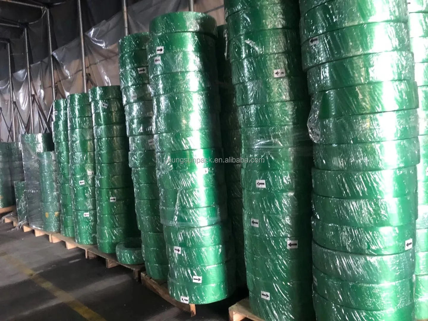 19*0.8 PET Straps PET Band Straps Polyester Strapping Band Youngsun