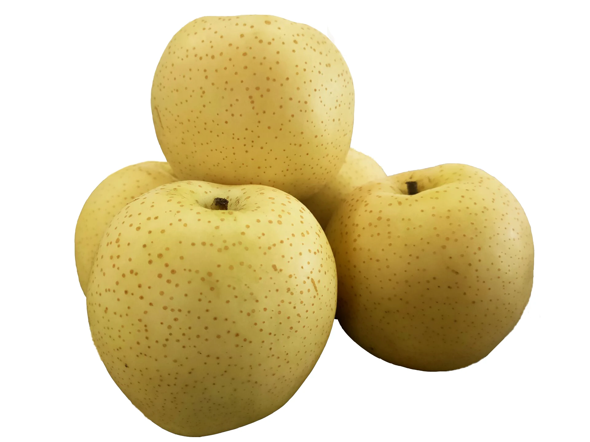 Новый урожай свежих китайских фруктов Золотая груша