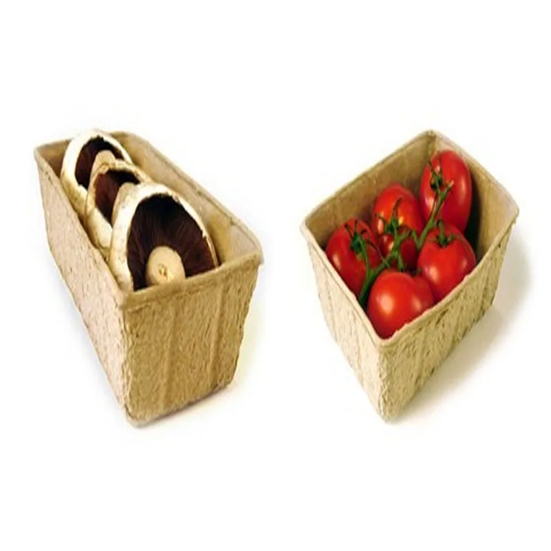 Top Quality 100% Eco-friendly Recyclable Biodegradable Protective Customized Molded Pulp Tray Packaging for Fruit Pulps Tray
