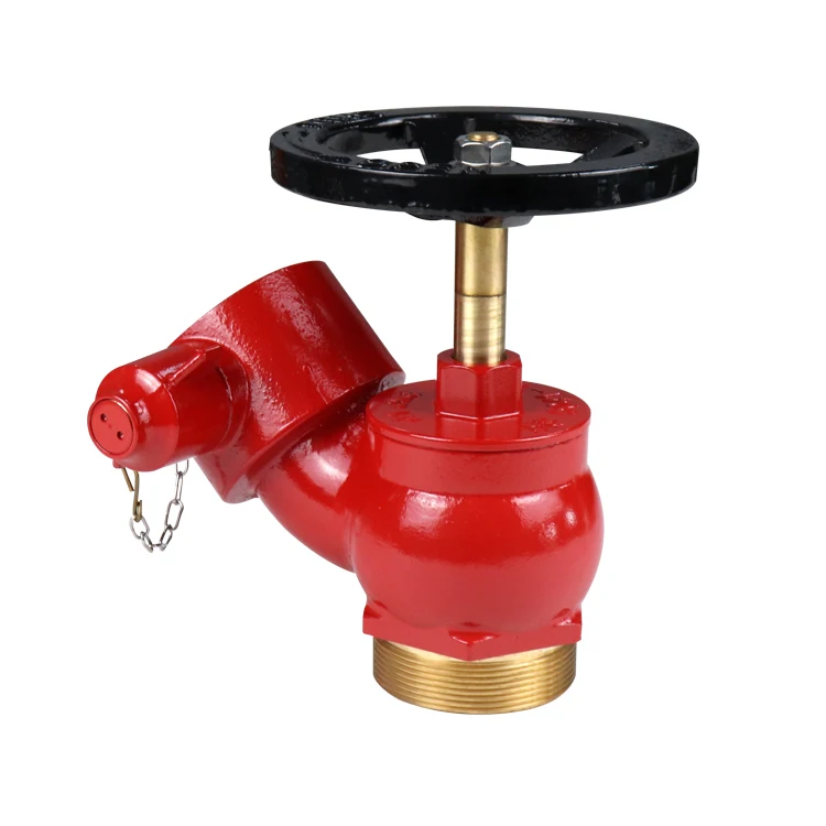 SiAN Hot Selling 2.5 Inch Oblique Fire Hydrant Valve Body Metal Landing Valve