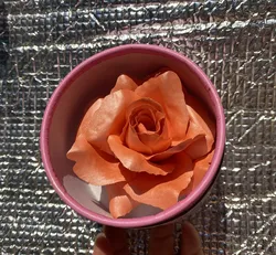 Make Your Own Long Lasting Brighten Cheek Highlighter Blusher Glitter Petals Flowers 3D Rose Blush