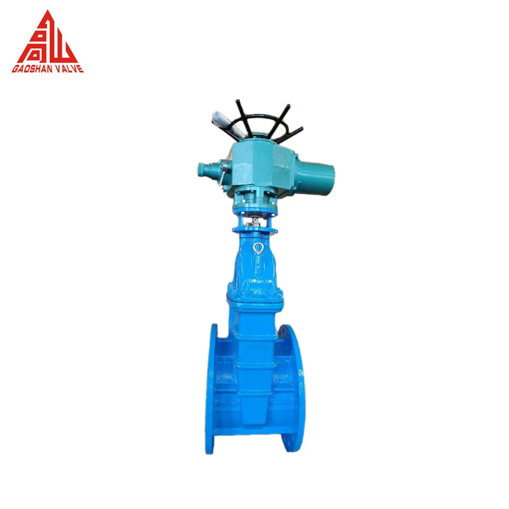 Rising Non Rising Wedge Type GGG40 GGG50 API DIN BS Standard Ductile Iron Flang Flexible Gear Direct Buried Resilient Gate Valve