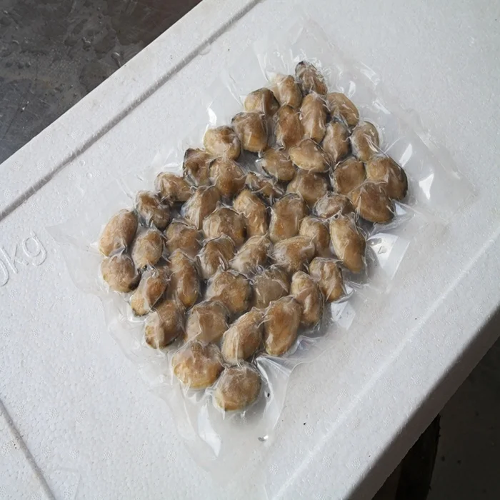 Замороженная вареная моллюска в вакуумной упаковке