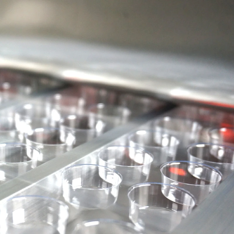 CD-250 Automatic Aluminum Plastic Blister Packing