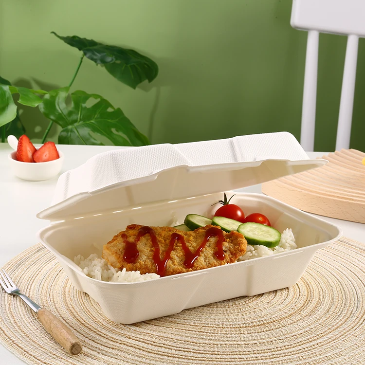 Wholesale Safety Custom Ecopack Box Disposable Biodegradable Paper Pulp Packaging Food Lunch Box with Lid