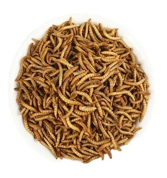 Bird feed dried mealworm 1kg color pouch