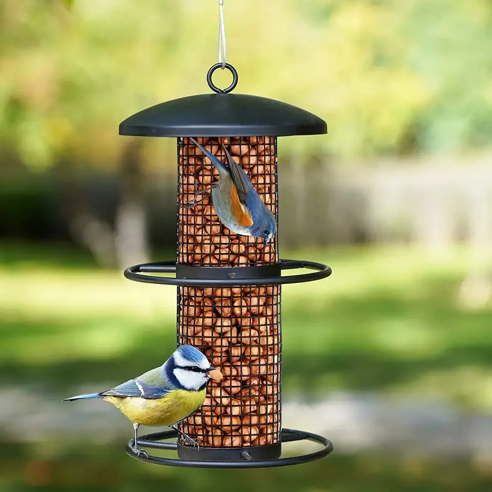 2 Tiers Squirrel Proof Wild Hanging Tube Bird Seed Feeders for Outside with 2 Metal Rings