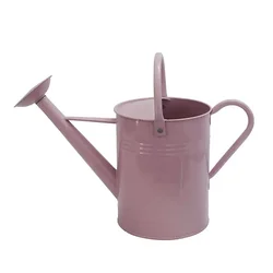 Wholesale 6L galvanized watering can garden watering pot
