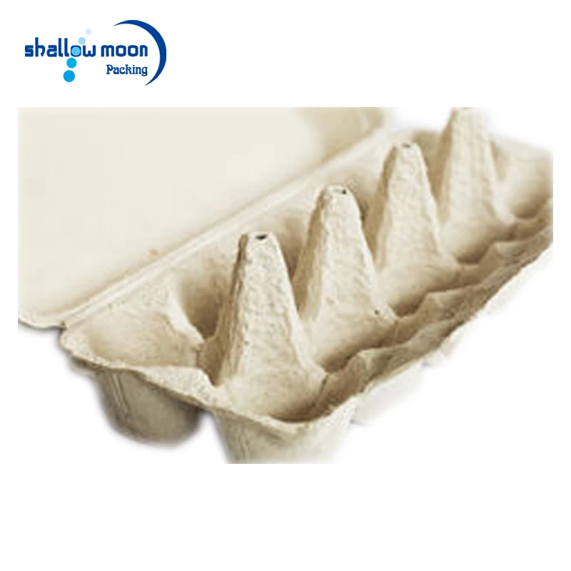 
Wholesale egg packing boxes popular hot selling egg storage box 