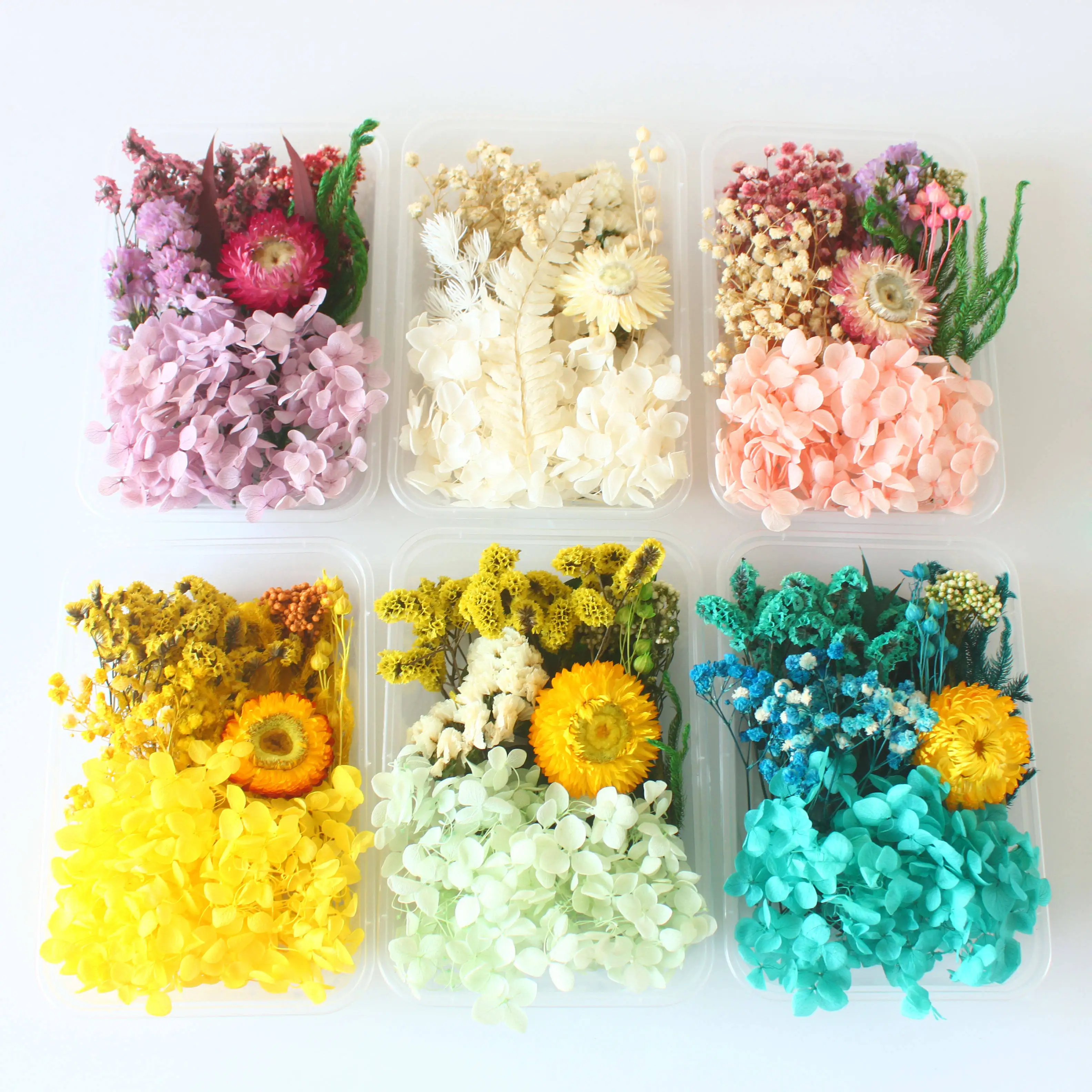 Random DIY Boxed Mixed Dried Flower For Resin Art Nails Decor Mobile Phone Shell Real Flower
