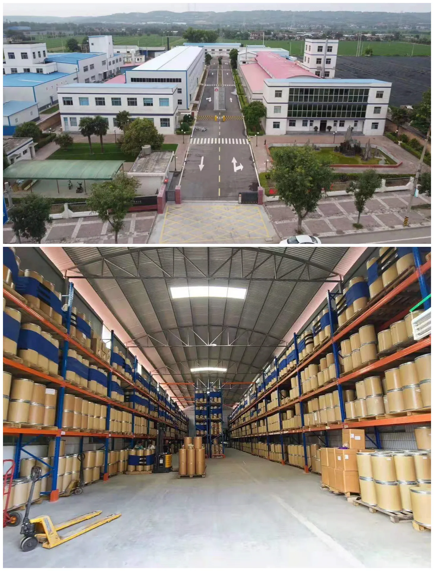 Cosmetic Grade Coix Lacryma-Jobi Extract Coix Seed Extract  Coix Seed Raw Powder