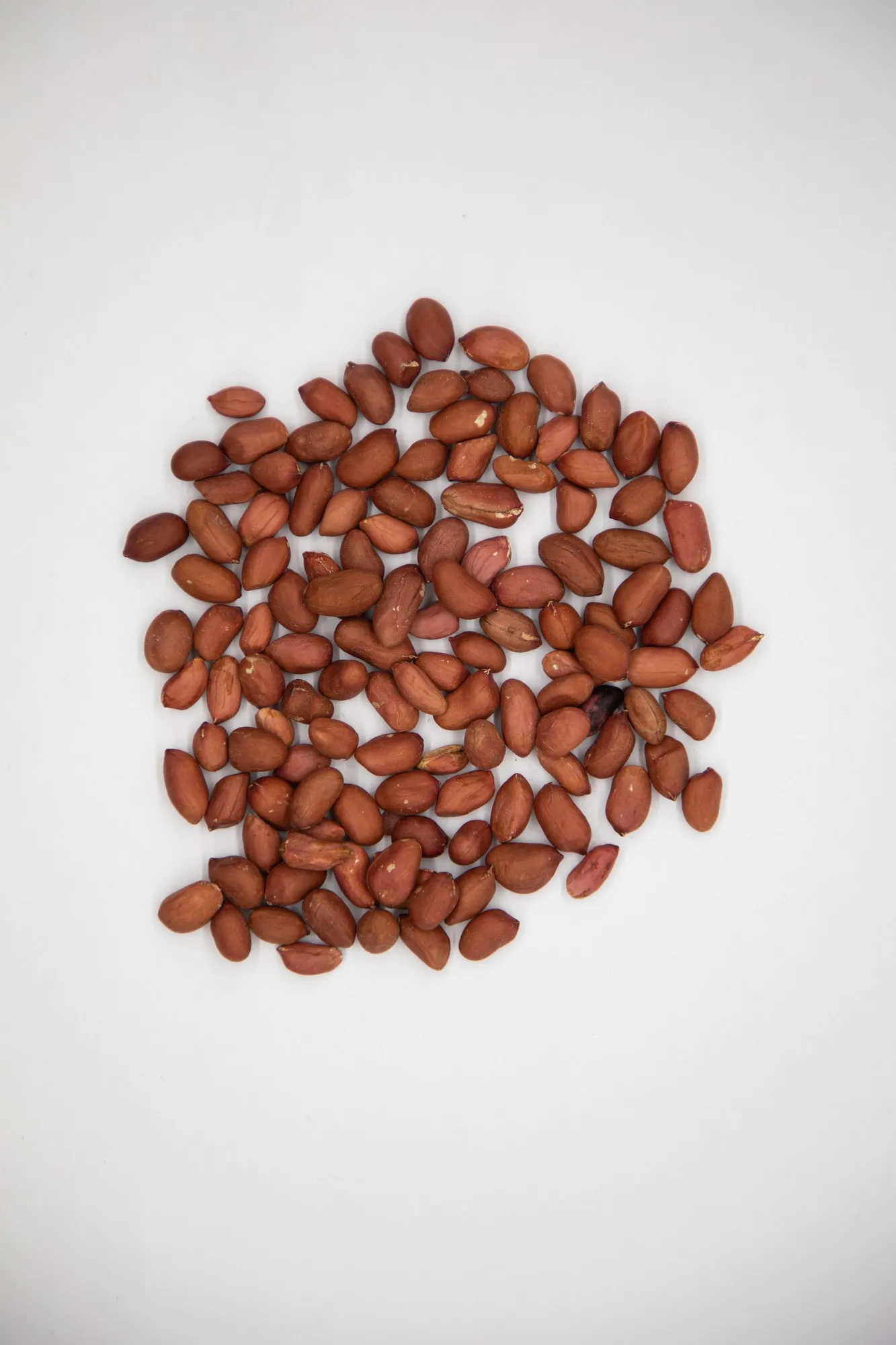 Healthy snack top grade organic peanut kernels peeled peanuts nuts in bulk from Uzbekistan manufacturer