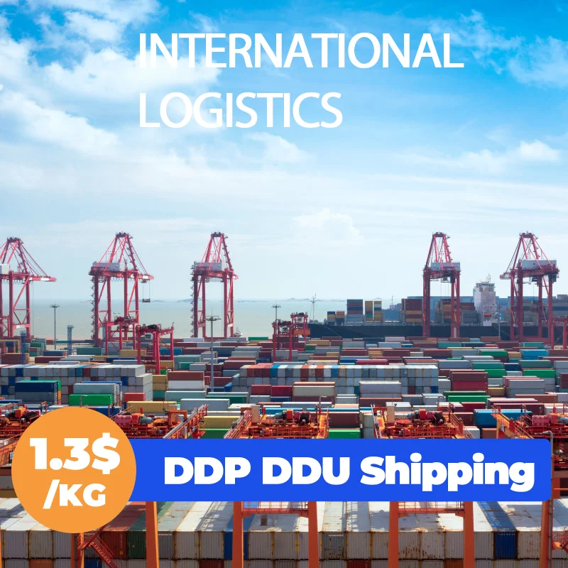 Ddp Shipping Cargo Boat Ship Bulk Carrier China Cargo Shipping Service Door to Door Sea Freight to Usa